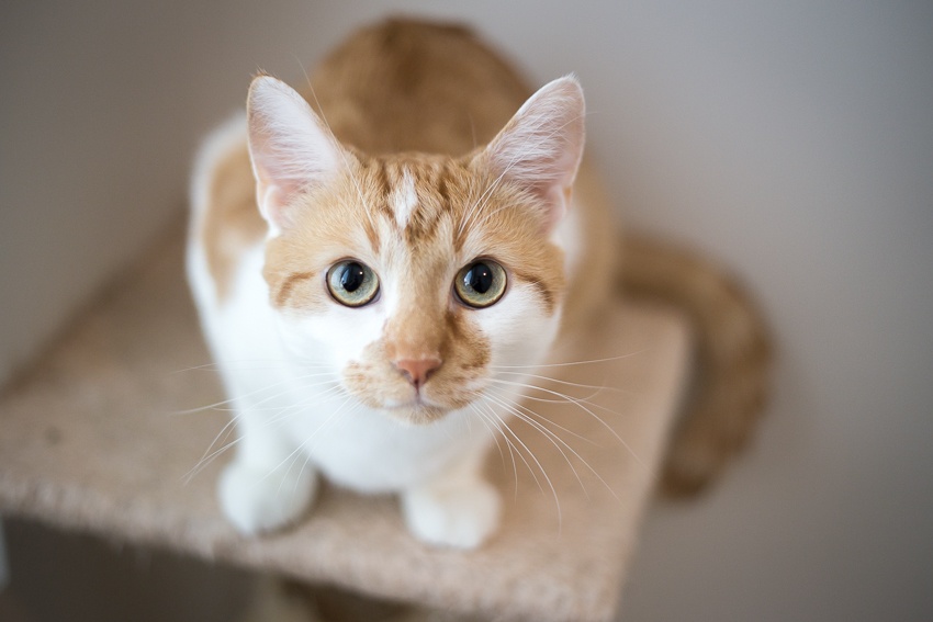 Vai että mielenosoitusta