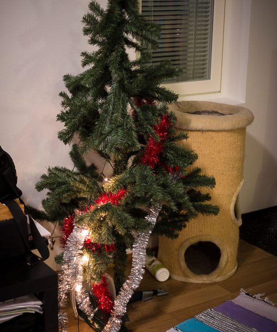 Kissojen aktivointilelu