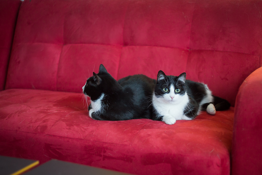 Uuden kodin paras paikka