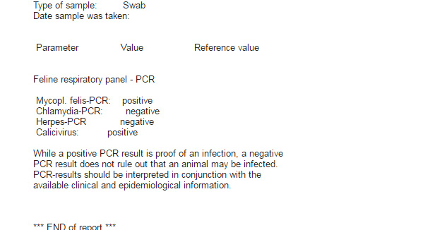 Flunssa kuin flunssa? Asiaa mycoplasmasta ja klamydiasta