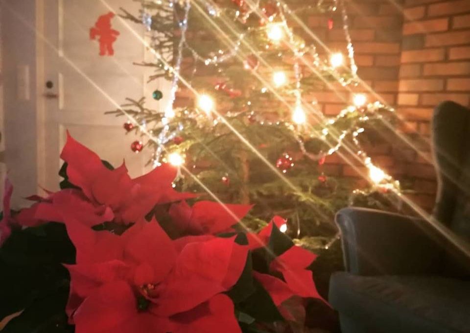 Asioita, joita en olisi osannut ajatella hankkiessani kissanpennun