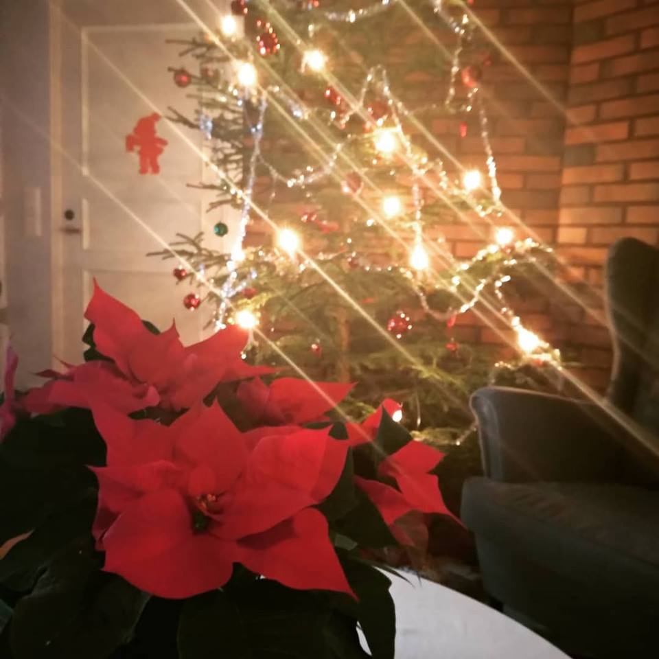 25593999 10211424967404696 6532783749852825159 n