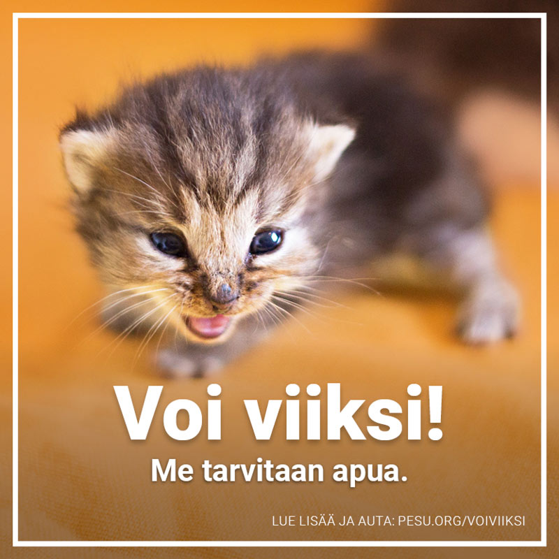 Voiviiksi some 2018 05