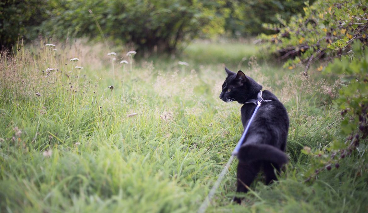 Jos jotain tehdään, se tehdään kunnolla – sananen eristyksen tärkeydestä