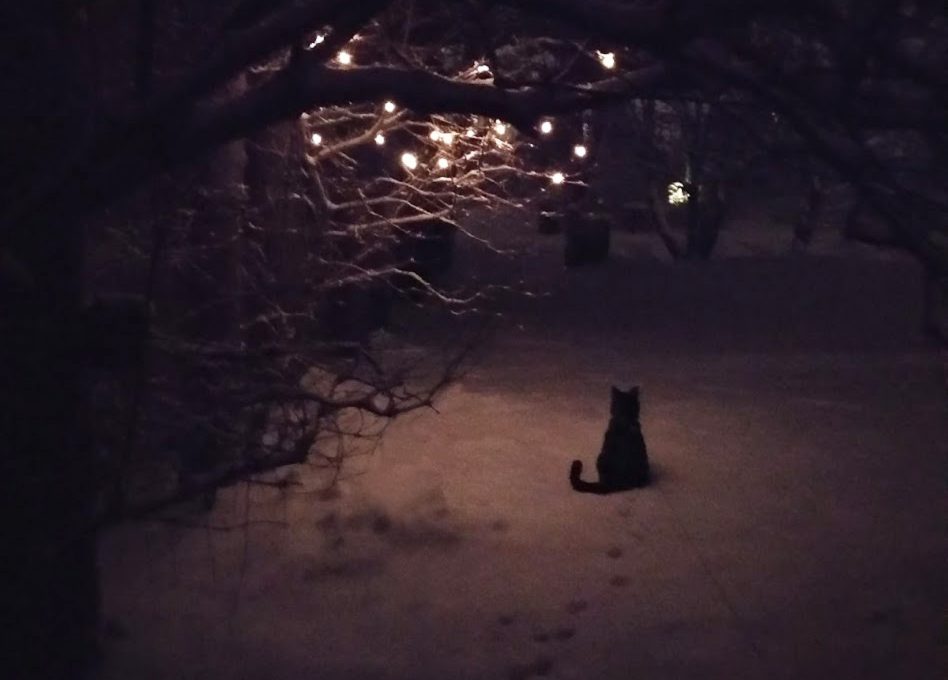 Kolmen tassun elämä