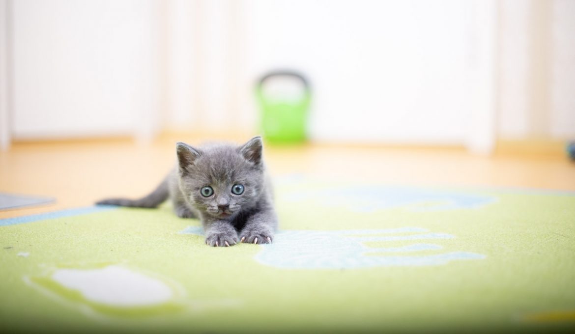 Uuden vuoden lupauksia