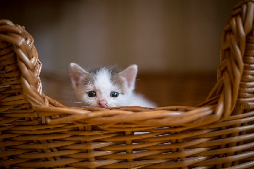 Puhutaas vähän jätteestä