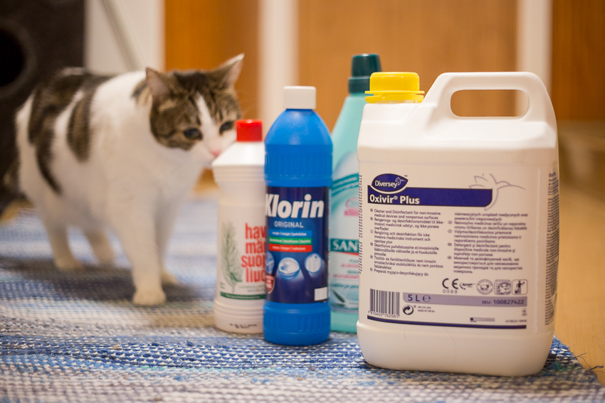 Desi mikä desi, ehei!