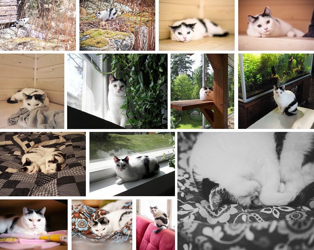 Murunmatka 2013 2020 fb