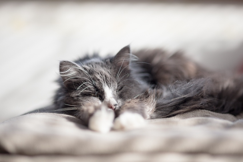 Ihan pois päältä — opettele kohtaamaan tunteesi