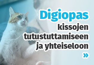 Digiopas pissasirkus banneri